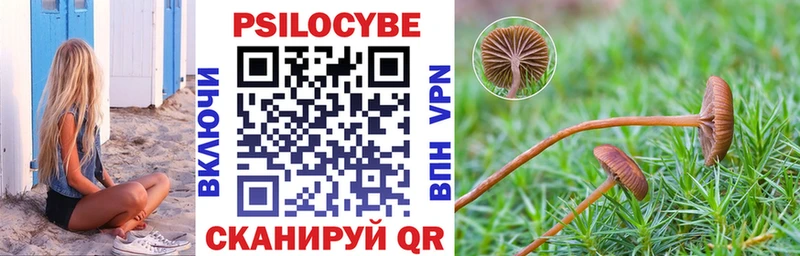 Купить где  Суздаль  Псилоцибиновые грибы прущие грибы 